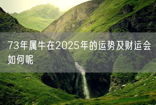 73年属牛在2025年的运势及财运会如何呢(图1)