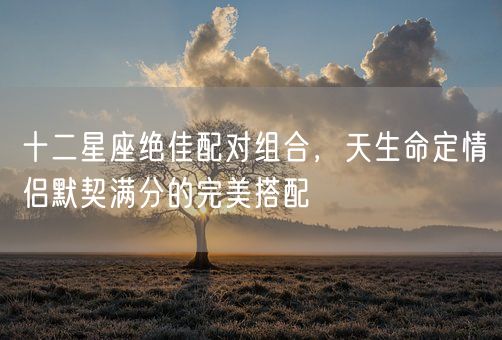 十二星座绝佳配对组合，天生命定情侣默契满分的完美搭配(图1)