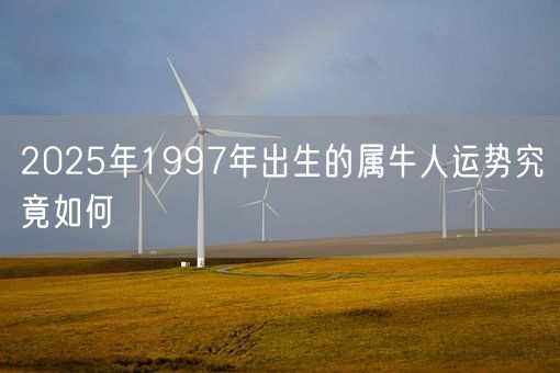 2025年1997年出生的属牛人运势究竟如何(图1) 2025年1997年出生的属牛人运势究竟如何(图1)