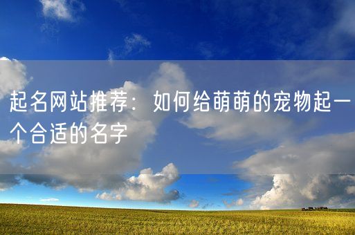 起名网站推荐：如何给萌萌的宠物起一个合适的名字(图1)