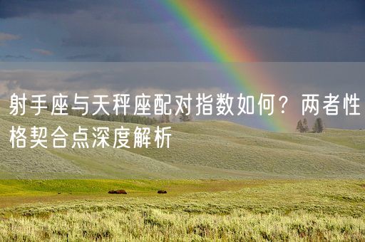 射手座与天秤座配对指数如何?两者性格契合点深度解析(图1) 射手座与天秤座配对指数如何?两者性格契合点深度解析(图1)