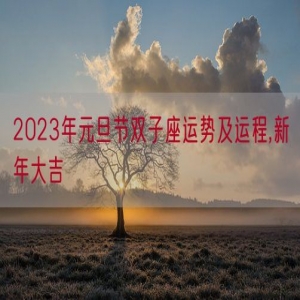 2023年元旦节双子座运势及运程,新年大吉