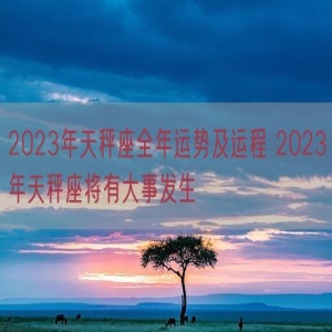 2023年天秤座全年运势及运程 2023年天秤座将有大事发生