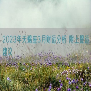 2023年天蝎座3月财运分析 附上提运建议    