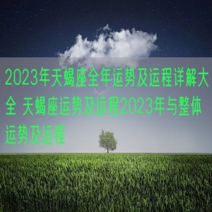 2023年天蝎座全年运势及运程详解大全 天蝎座运势及运程2023年与整体运势及运程