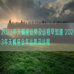 2023年天蝎座运势及运程早知道 2023年天蝎座全年运势及运程