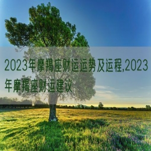 2023年摩羯座财运运势及运程,2023年摩羯座财运建议