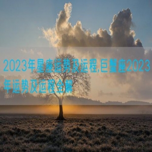2023年星座运势及运程,巨蟹座2023年运势及运程全解