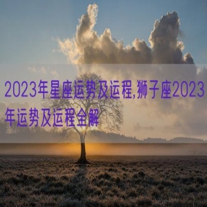 2023年星座运势及运程,狮子座2023年运势及运程全解