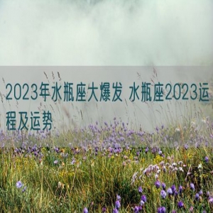2023年水瓶座大爆发 水瓶座2023运程及运势