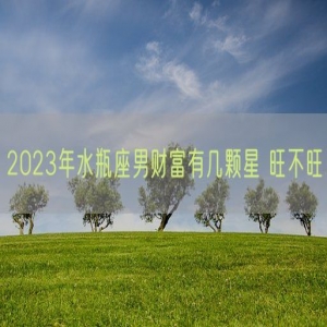 2023年水瓶座男财富有几颗星 旺不旺