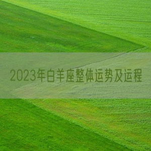 2023年白羊座整体运势及运程