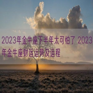 2023年金牛座下半年太可怕了 2023年金牛座财运运势及运程