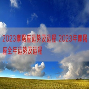2023摩羯座运势及运程 2023年摩羯座全年运势及运程