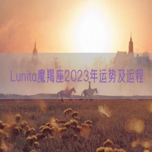 Lunita魔羯座2023年运势及运程