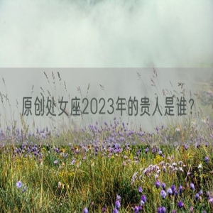 原创处女座2023年的贵人是谁？