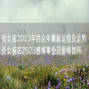 处女座2023年的全年最新运程及运势 处女座在2023感情事业及爱情如何 