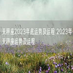 天秤座2023年底运势及运程 2023年天秤座运势及运程
