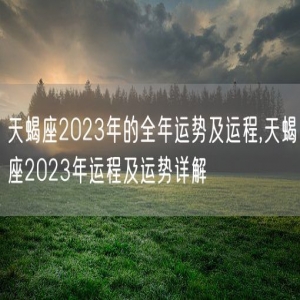 天蝎座2023年的全年运势及运程,天蝎座2023年运程及运势详解