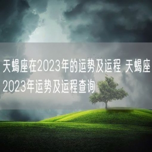 天蝎座在2023年的运势及运程 天蝎座2023年运势及运程查询