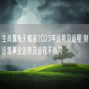 生肖属兔天蝎座2023年运势及运程 财运跟事业运势及运程不协同