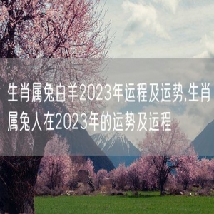 生肖属兔白羊2023年运程及运势,生肖属兔人在2023年的运势及运程