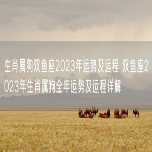 生肖属狗双鱼座2023年运势及运程 双鱼座2023年生肖属狗全年运势及运程详解