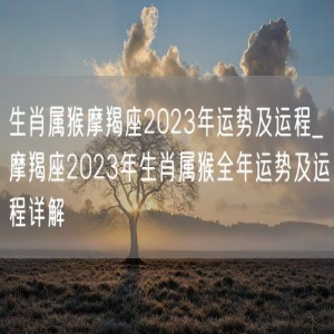 生肖属猴摩羯座2023年运势及运程_摩羯座2023年生肖属猴全年运势及运程详解