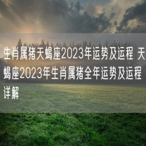 生肖属猪天蝎座2023年运势及运程 天蝎座2023年生肖属猪全年运势及运程详解