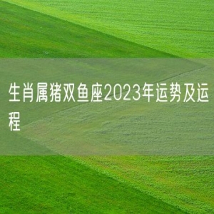 生肖属猪双鱼座2023年运势及运程