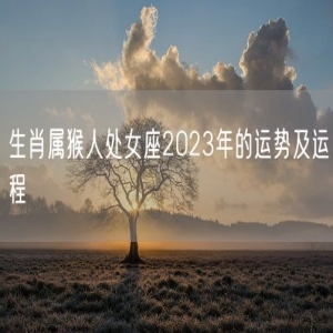 生肖属猴人处女座2023年的运势及运程