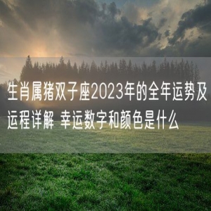 生肖属猪双子座2023年的全年运势及运程详解 幸运数字和颜色是什么