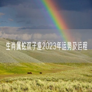 生肖属蛇双子座2023年运势及运程