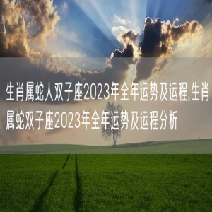 生肖属蛇人双子座2023年全年运势及运程,生肖属蛇双子座2023年全年运势及运程分析