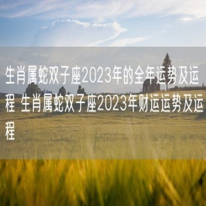 生肖属蛇双子座2023年的全年运势及运程 生肖属蛇双子座2023年财运运势及运程