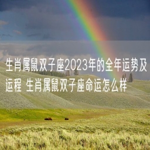 生肖属鼠双子座2023年的全年运势及运程 生肖属鼠双子座命运怎么样