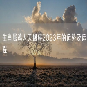 生肖属鸡人天蝎座2023年的运势及运程