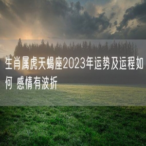 生肖属虎天蝎座2023年运势及运程如何 感情有波折