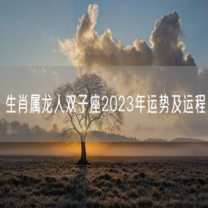 生肖属龙人双子座2023年运势及运程