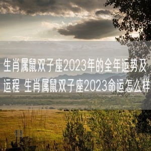 生肖属鼠双子座2023年的全年运势及运程 生肖属鼠双子座2023命运怎么样