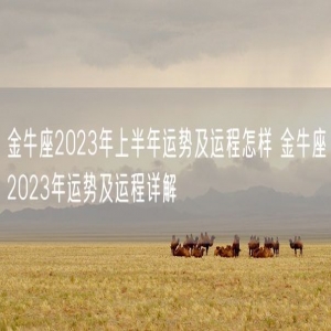 金牛座2023年上半年运势及运程怎样 金牛座2023年运势及运程详解