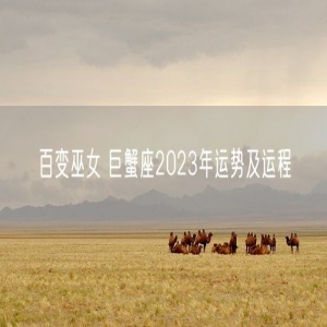 百变巫女 巨蟹座2023年运势及运程