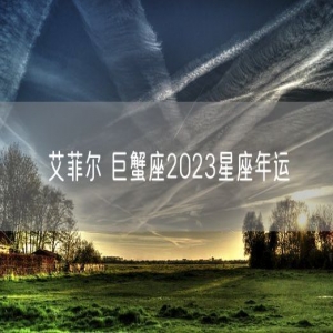 艾菲尔 巨蟹座2023星座年运 