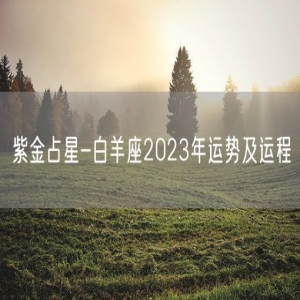 紫金占星-白羊座2023年运势及运程