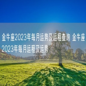 金牛座2023年每月运势及运程查询 金牛座2023年每月运程及运势