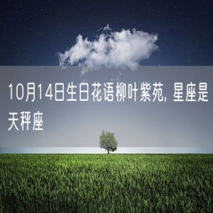 10月14日生日花语柳叶紫苑, 星座是天秤座