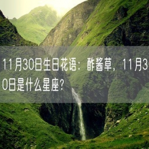 11月30日生日花语：酢酱草，11月30日是什么星座？