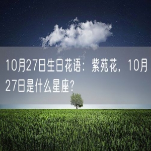 10月27日生日花语：紫苑花，10月27日是什么星座？