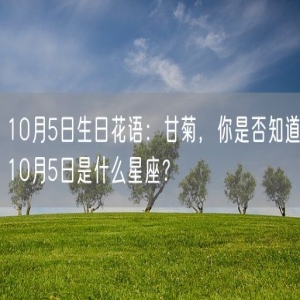 10月5日生日花语：甘菊，你是否知道10月5日是什么星座？