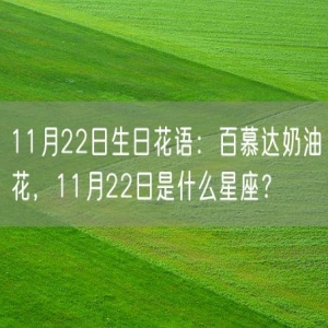 11月22日生日花语：百慕达奶油花，11月22日是什么星座？